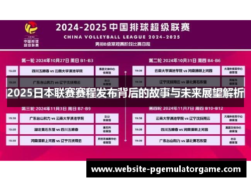 2025日本联赛赛程发布背后的故事与未来展望解析