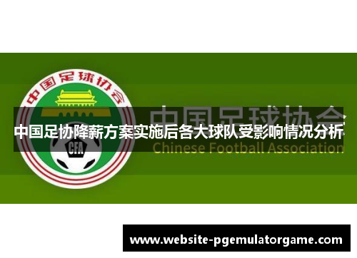 中国足协降薪方案实施后各大球队受影响情况分析