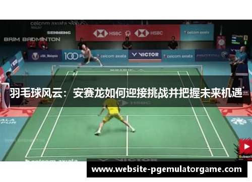 羽毛球风云：安赛龙如何迎接挑战并把握未来机遇
