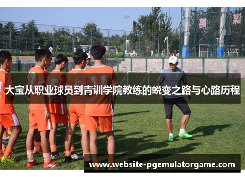 大宝从职业球员到青训学院教练的蜕变之路与心路历程