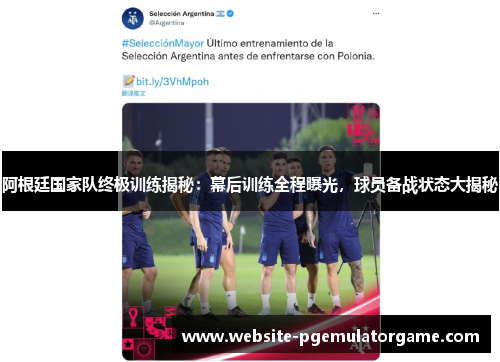 阿根廷国家队终极训练揭秘：幕后训练全程曝光，球员备战状态大揭秘