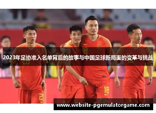 2023年足协准入名单背后的故事与中国足球新局面的变革与挑战
