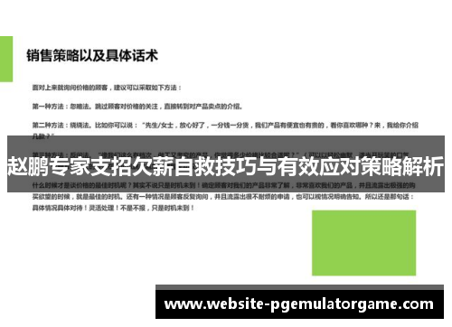 赵鹏专家支招欠薪自救技巧与有效应对策略解析