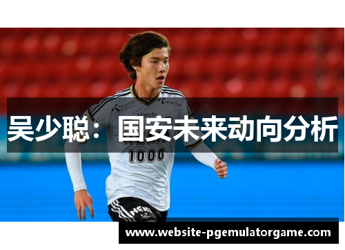 吴少聪：国安未来动向分析