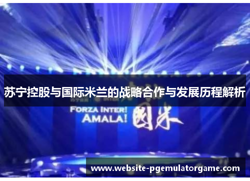 苏宁控股与国际米兰的战略合作与发展历程解析