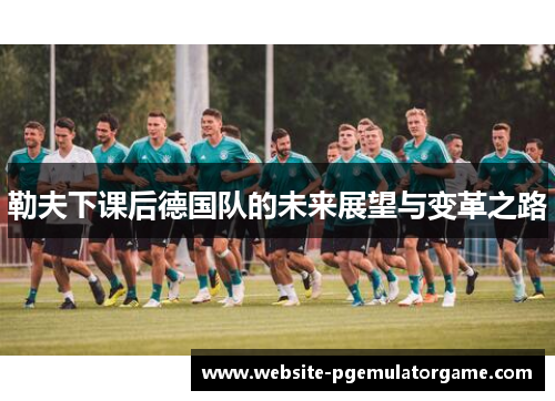 勒夫下课后德国队的未来展望与变革之路