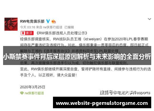 小斯禁赛事件背后深层原因解析与未来影响的全面分析