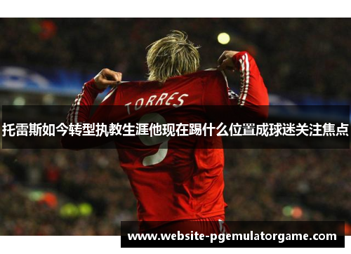 托雷斯如今转型执教生涯他现在踢什么位置成球迷关注焦点