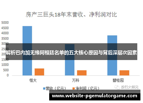 解析巴内加无缘阿根廷名单的五大核心原因与背后深层次因素