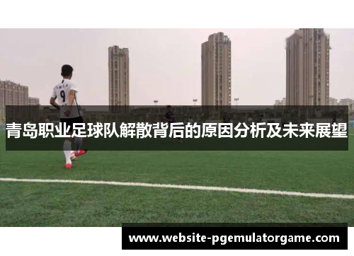 青岛职业足球队解散背后的原因分析及未来展望
