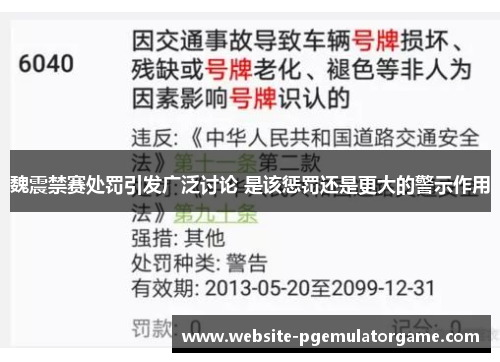 魏震禁赛处罚引发广泛讨论 是该惩罚还是更大的警示作用