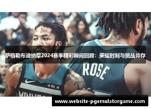 萨格勒布迪纳摩2024赛季精彩瞬间回顾：荣耀时刻与挑战并存
