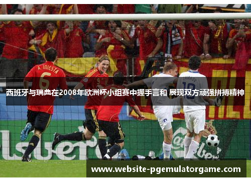西班牙与瑞典在2008年欧洲杯小组赛中握手言和 展现双方顽强拼搏精神
