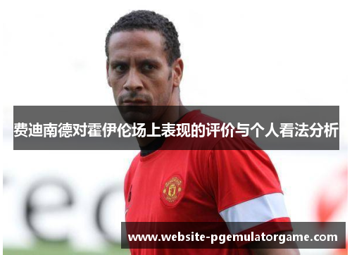 费迪南德对霍伊伦场上表现的评价与个人看法分析