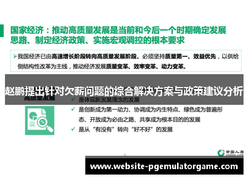 赵鹏提出针对欠薪问题的综合解决方案与政策建议分析