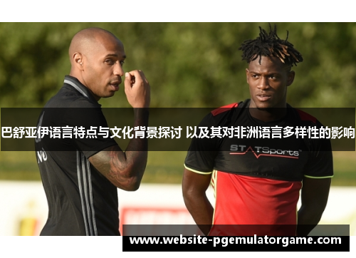 巴舒亚伊语言特点与文化背景探讨 以及其对非洲语言多样性的影响 巴舒亚伊语言特点与文化背景探讨 以及其对非洲语言多样性的影响