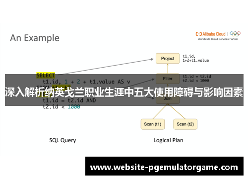 深入解析纳英戈兰职业生涯中五大使用障碍与影响因素