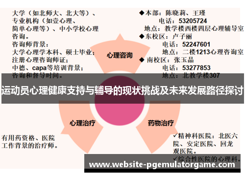 运动员心理健康支持与辅导的现状挑战及未来发展路径探讨