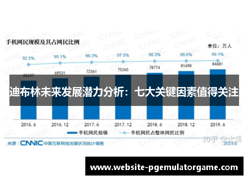 迪布林未来发展潜力分析：七大关键因素值得关注
