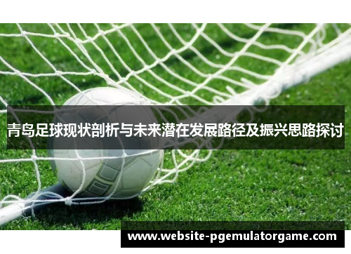 青岛足球现状剖析与未来潜在发展路径及振兴思路探讨