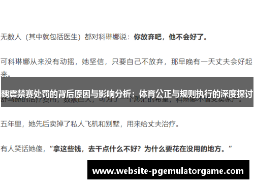 魏震禁赛处罚的背后原因与影响分析：体育公正与规则执行的深度探讨