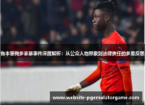 鲁本塞梅多家暴事件深度解析：从公众人物形象到法律责任的多重反思