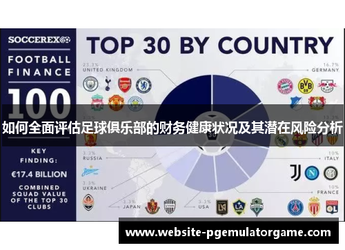 如何全面评估足球俱乐部的财务健康状况及其潜在风险分析