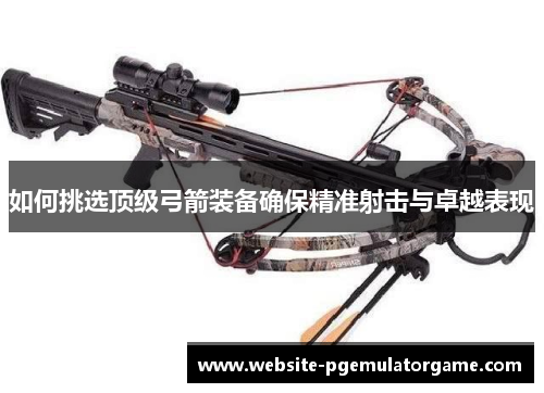 如何挑选顶级弓箭装备确保精准射击与卓越表现