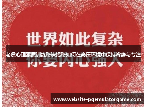 老詹心理素质训练秘诀揭秘如何在高压环境中保持冷静与专注