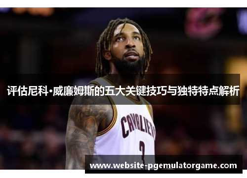 评估尼科·威廉姆斯的五大关键技巧与独特特点解析